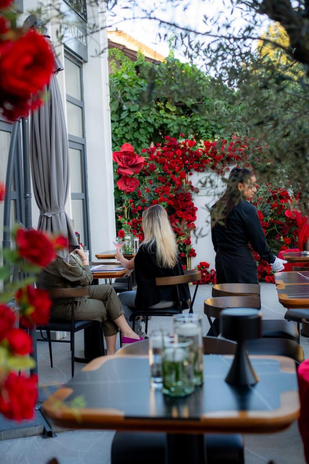 Cosmopolita Boutique Hotel Timişoara Eksteriør bilde